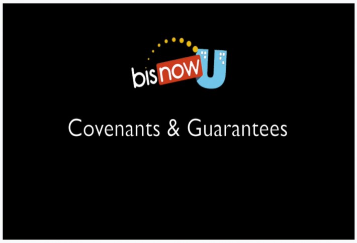 What is the point of a loan covenant?
